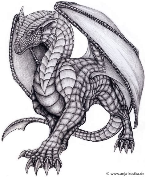 Dragon Drawing By Arkaedri On Deviantart Dragon Drawing