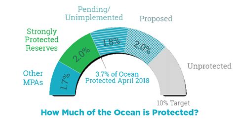 Celebrating Ocean Protection Progress On The Tide