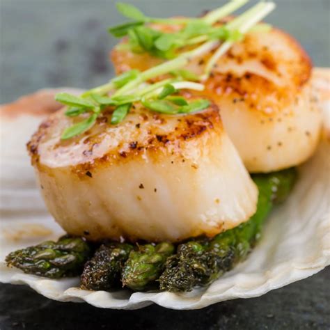 Fresh Large Sea Scallops Caudles Catch Seafood