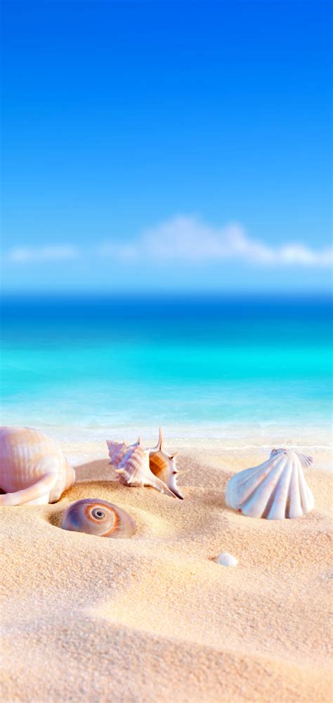 Free Download Summer Phone Wallpaper Mobile Abyss 1440x3040 For Your