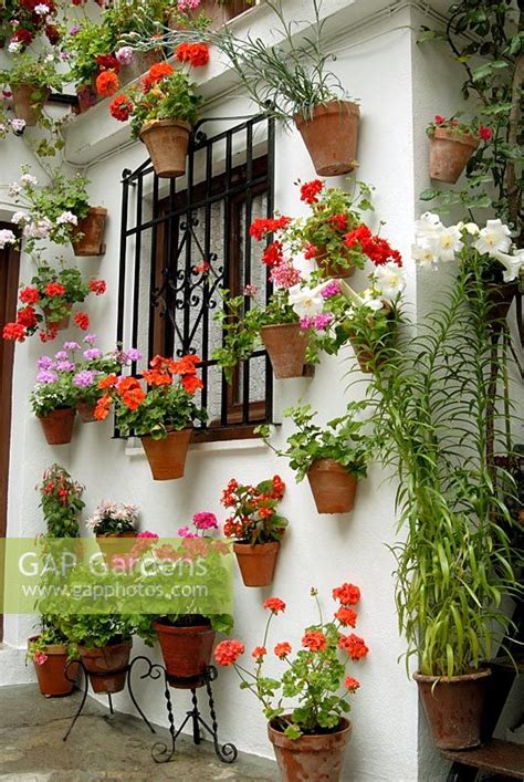 Gap Gardens Traditional Spanish Courtyard Garden With Pelargoniums In