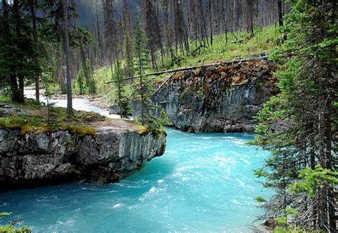 Turquoise River British Columbia Canada Canada Wanderlust