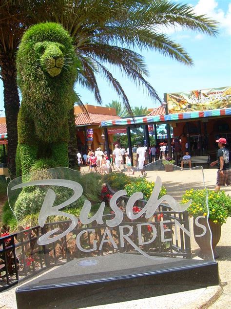 Escolha entre seaworld orlando, busch gardens, aquatica ou adventure island. Busch Gardens | Busch gardens tampa, Busch gardens, Busch ...