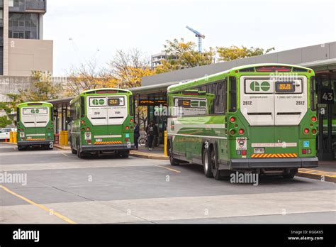 Toronto Canada Oct 11 2017 Go Transit Buses At The Union Station