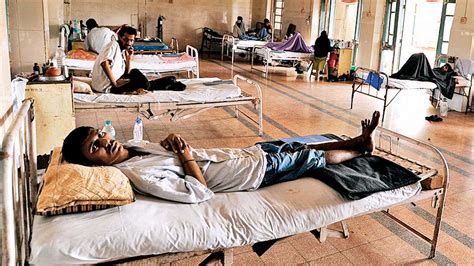 Spike In Dengue Cases Across Mumbai In The Past Five Years Rti Data