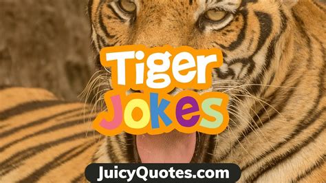 Tiger Jokes For Kids Clear Jokes About Tigers Will Make You Laugh