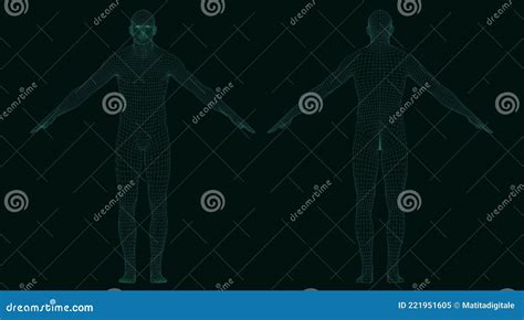 Human Body Model Wireframe Illustration Stock Illustration