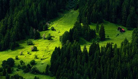 Imagini De Fundal Copaci Peisaj Deal Natură Verde Vale Pustie