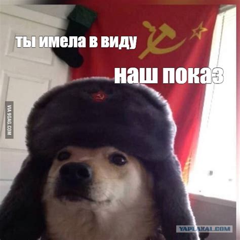 Создать комикс мем собака Doge в шапке ушанке Communist Doggo