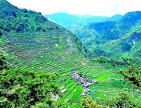 Rice Terraces Of The Philippine Cordilleras World Heritage Sites
