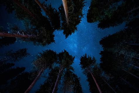 Looking Up At The Starry Night Sky