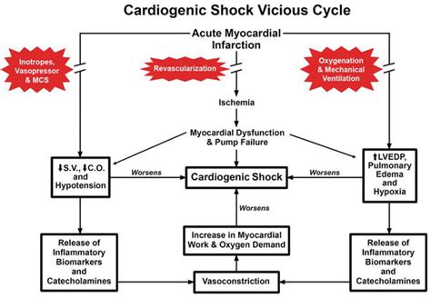 Cardiogenic Shock Intechopen