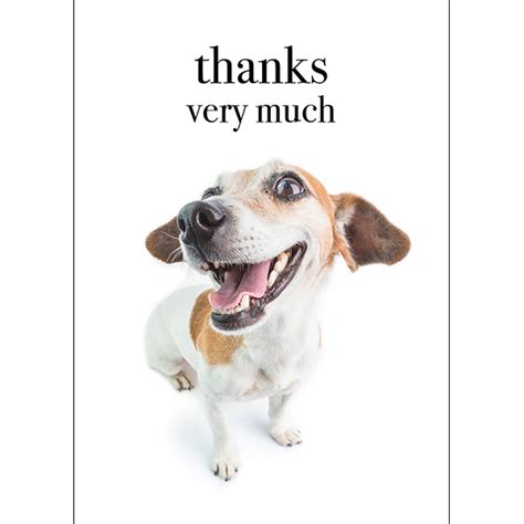 Dog Thank You Card Thanks Very Much Affirmations Publishing House