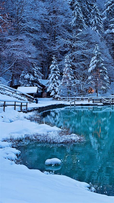 2k Free Download Scenery Winter Lake Snow Tree Hd Phone
