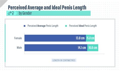 Men S Idea Of The Ideal Penis Is Bigger Than Women S Idea Of The Ideal Penis Metro News