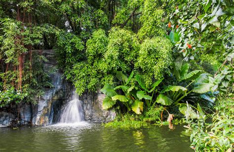 Mini Waterfall Stock Photo Image Of Tropical Thailand 56851054
