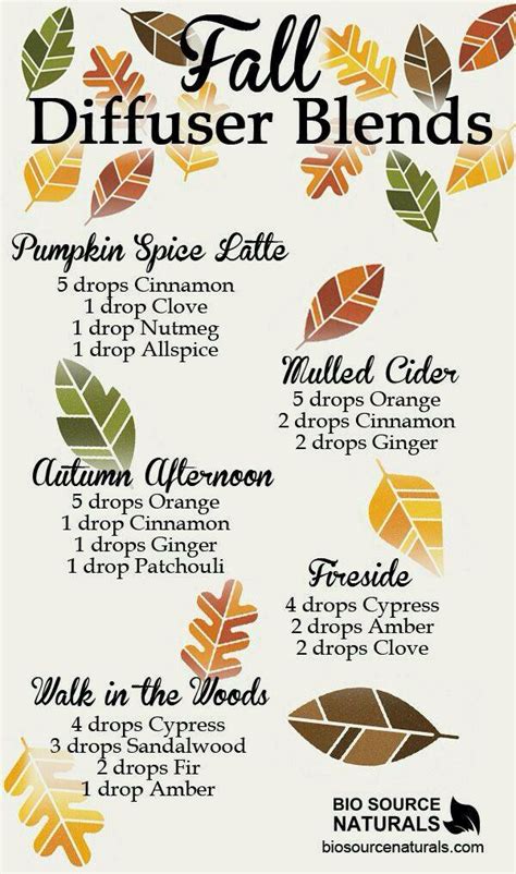 Warm And Cozy Essential Oil Blends For Autumn Infographic