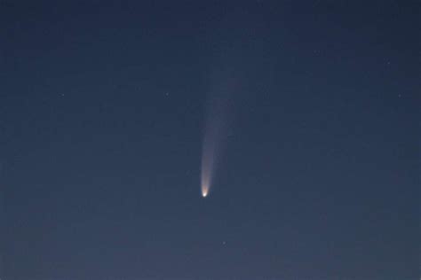 Comet Neowise Spotted From Seattle Heres How You Can See It In July