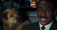 Dr. Dolittle - Movie Review - The Austin Chronicle