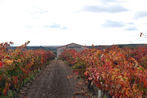 Campo Viejo: 5 razones por las que acercarte a la bodega