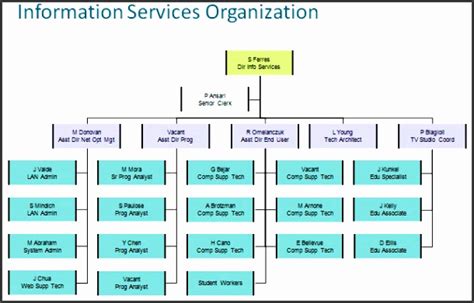 5 It Organizational Chart Sampletemplatess Sampletemplatess