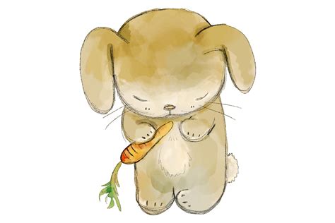 Cute Rabbit With A Carrot Pngjpeg Clip Art Illustration