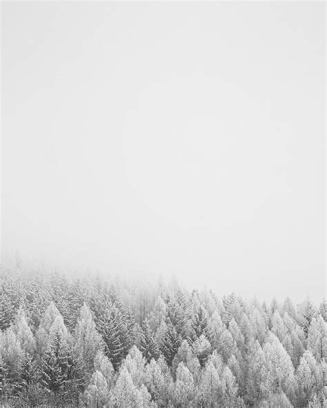 Winter Nature Trees Snow Forest Hd Phone Wallpaper Pxfuel