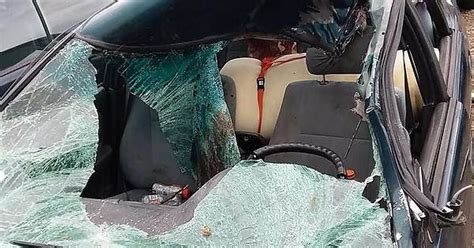 Aftermath Of Car Crash Accident With A Moose Notice Steering Wheel Album On Imgur