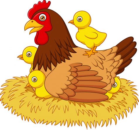 ¿estás rebuscando una uñas decoradas con dibujos animados para adquirir o obsequiar? Gallina de dibujos animados con sus pollitos | Descargar ...