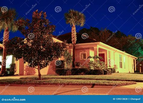 A Typical Florida House Stock Photo Image Of Figurine 139513828