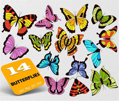 Butterfly Svg Bundlebutterfly Clip Art Butterfly Clipart Etsy