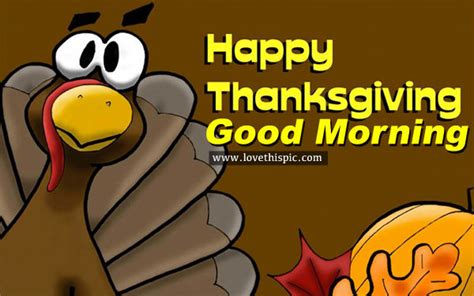 Happy Thanksgiving Good Morning Pictures Photos And Images For
