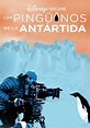Penguins - película: Ver online completas en español