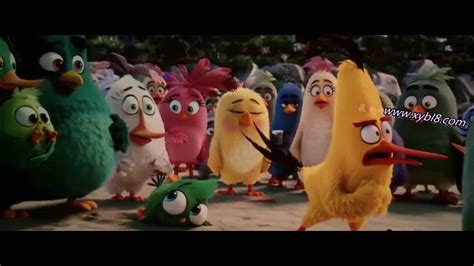 Laidies Get Busy Dirty Joke The Angry Birds Movie Hd Cam Youtube