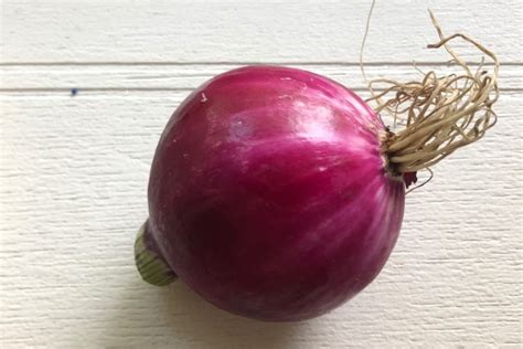 Also, disinfect any surfaces that may have come into contact with the onions. Red onions linked to Salmonella outbreak across Canada ...