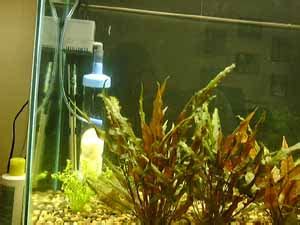Check spelling or type a new query. DIY CO2 Reactor - The Planted Tank
