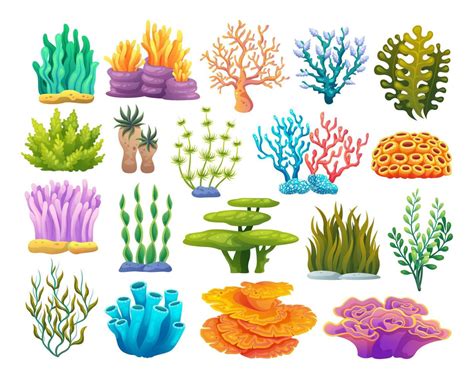 Varios Tipos De Arrecifes De Coral Algas Y Dibujos Animados De Algas