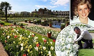 Princess Diana's garden blooms into MIRACULOUS life on 20th anniversary ...