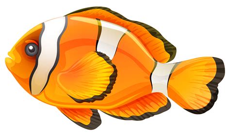 Transparent Fish Clipart