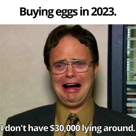 The Funniest Expensive Egg Memes In 2023 Lola Lambchops