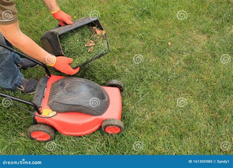 A Gardener S Hand Holds A Lawn Mower Box Next To Lawn Mower On Grass