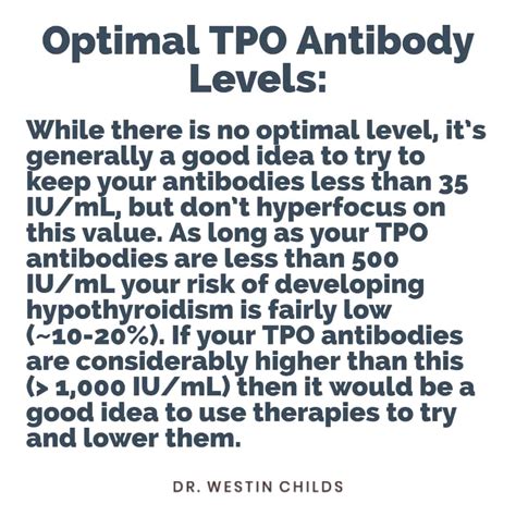 Thyroid Peroxidase Antibodies Lab Test High Levels And More