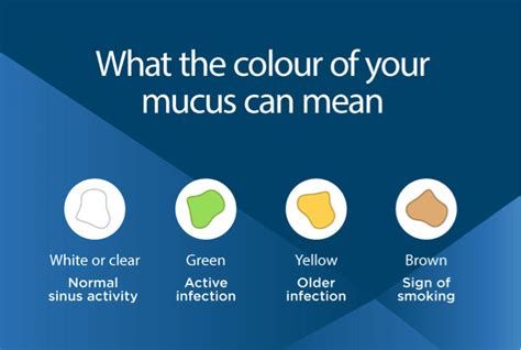 Mucus Cough Symptoms Causes And Treatment Benylin® Uk