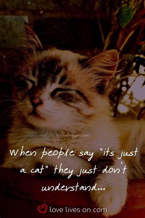 50 Beautiful Loss Of Pet Quotes Pet Quotes Cat Cat Quotes Pet Loss