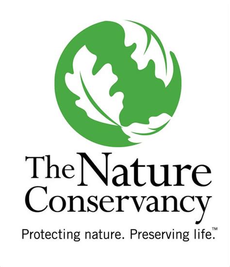 The Nature Conservancy Logo Strategyfrog