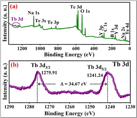 A Xps Survey Scan Spectrum B Core Level Spectrum Of Tb 3d For Nytb