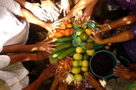 Seguridad Alimentaria Y Nutricional En América Latina Y El Caribe Circle City