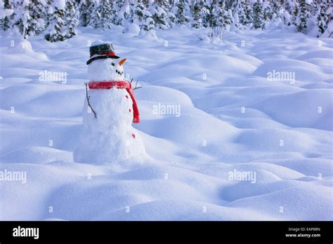 A Snowman Standing In Snow Covered Tundra At Sunset Spruce Forest In