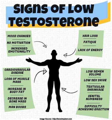Testosterone Integrative Health And Wellness