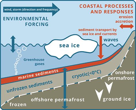 What Is Acd Arctic Coastal Dynamics Arctic Coastal Dynamics Acd